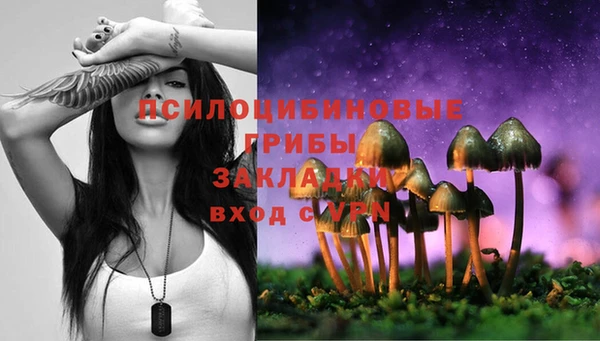эйфоретик Баксан