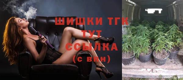 эйфоретик Баксан
