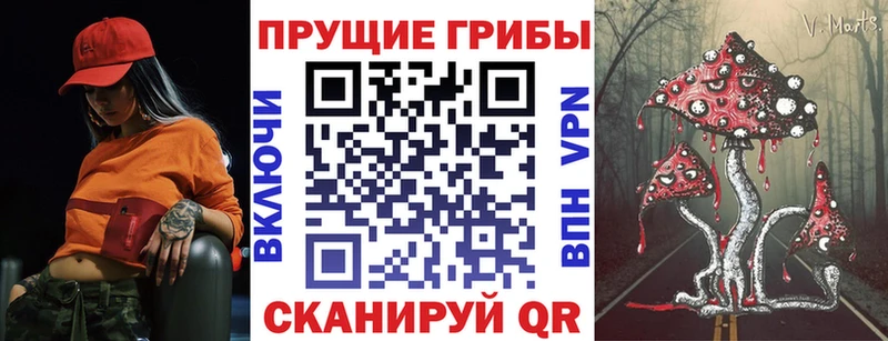 Псилоцибиновые грибы MAGIC MUSHROOMS  Купить закладки  Амурск 